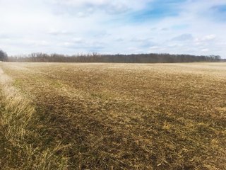 Property photo 9 - LAND AUCTION - 71+/- ACRES IN 2 TRACTS IN WILLIAMS COUNTY, OHIO